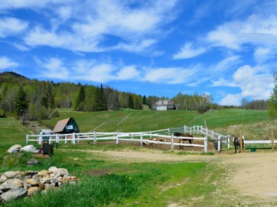 Spring 2016